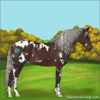Horse Color:White Spotted Silver Brown 
