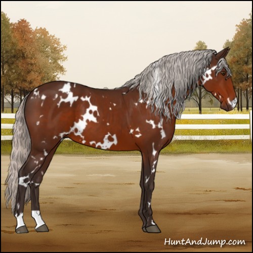 Horse Color:White Spotted Silver Brown 