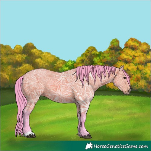 Horse Color:Watercolor Bay Ice 