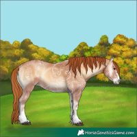 Horse Color:Red Onyx Ice 