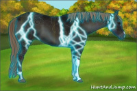 Horse Color:Thunderstruck Midnight Liver Red Onyx Ice 