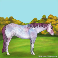 Horse Color:Watercolor Red Onyx Ice