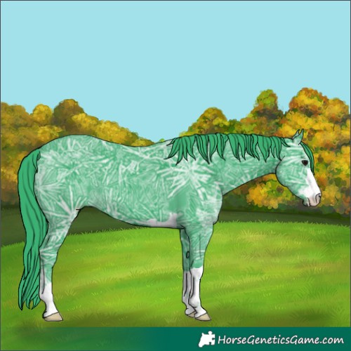 Horse Color:Watercolor Black Ice 