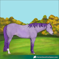 Horse Color:Watercolor Bay 