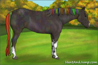 Horse Color:Painted Watercolor Midnight Buckskin Ice 