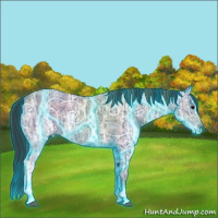 Horse Color:Thunderstruck Plaid  Black Ice 