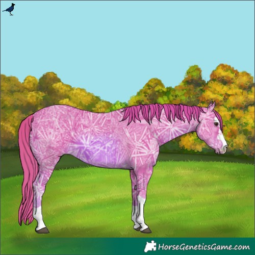 Horse Color:Watercolor Chestnut Ice 