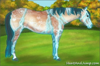 Horse Color:Thunderstruck Bay Ice Onyx 