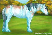 Horse Color:Thunderstruck Bay Ice Onyx Splash Frame 