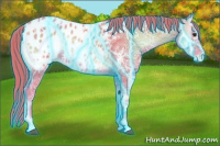 Horse Color:Thunderstruck Watercolor Red Onyx Ice Appaloosa 