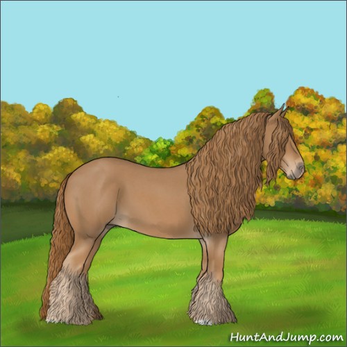 Horse Color:Red Roan 