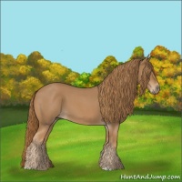 Horse Color:Red Roan 