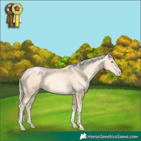 Horse Color:Silver Classic Cream Champagne Pearl Tobiano