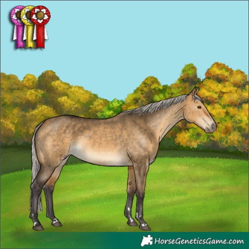 Horse Color:Silver Buckskin Dun 