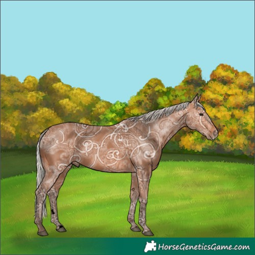 Horse Color:Void Silver Bay Ice 