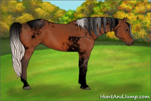 Horse Color:Void Silver Bay Tobiano 