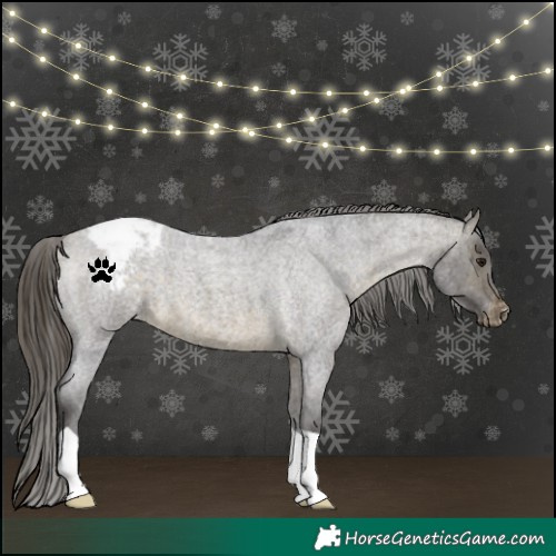 Horse Color:Buckskin Roan Snowcap 