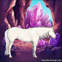 Horse Color:Cremello Dun Tobiano 