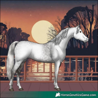 Horse Color:Gray Silver Black Sabino Tobiano 