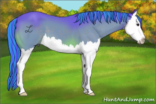 Horse Color:Painted Watercolor Brown Splash 