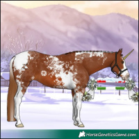 Horse Color:Chestnut Splash Tobiano