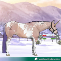 Horse Color:Watercolor Bay Dun Tobiano