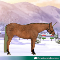 Horse Color:Void Painted Chestnut 