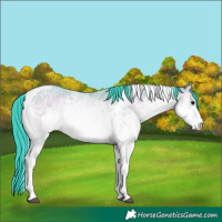 Horse Color:Watercolor White Spotted Bay Ice Onyx Tobiano 