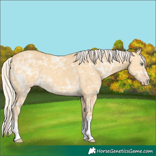 Horse Color:Silver Amber Cream Champagne Ice Dun 