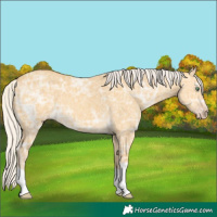Horse Color:Silver Amber Cream Champagne Ice Dun 
