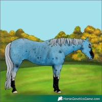 Horse Color:ERROR: UNKNOWN ANOMALY