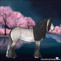 Horse Color:Platinum Bay Roan Dun 