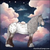 Horse Color:Platinum Chocolate Silver Buckskin Roan Dun Appaloosa 