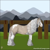 Horse Color:Liver Red Dun Mushroom Splash Tobiano 