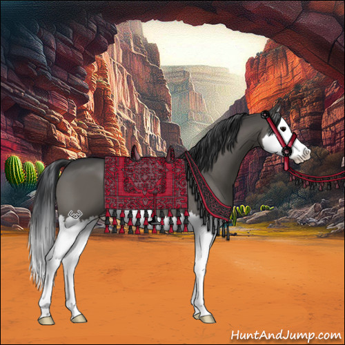 Horse Color:Grullo Sabino Splash 