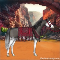 Horse Color:Grullo Sabino Splash 