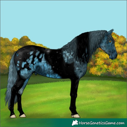 Horse Color:ERROR: UNKNOWN ANOMALY