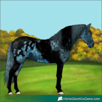 Horse Color:ERROR: UNKNOWN ANOMALY