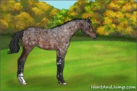 Horse Color:Brown Ice Sabino