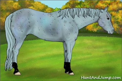 Horse Color:ERROR: UNKNOWN ANOMALY