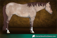 Horse Color:Chocolate Brown Dun