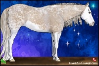 Horse Color:Palomino Ice Splash 
