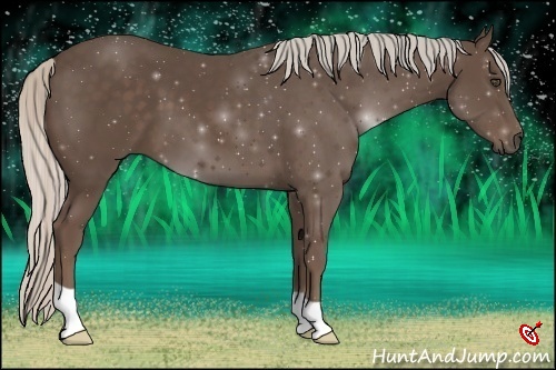 Horse Color:Silver Black