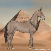 Horse Color:Classic Champagne 