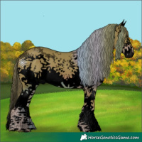Horse Color:Void Watercolor White Spotted Liver Chestnut Sabino Splash 