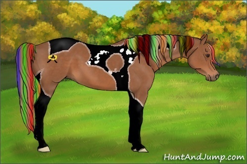 Horse Color:Painted Chestnut Tobiano 