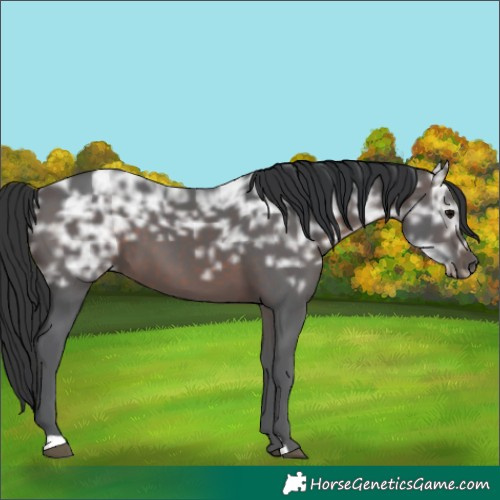 Horse Color:Brown Ice 