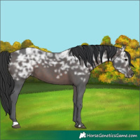Horse Color:Brown Ice 