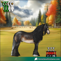 Horse Color:Gray Brown 
