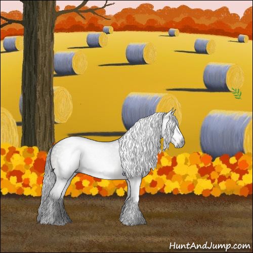 Horse Color:Gray Brown Roan